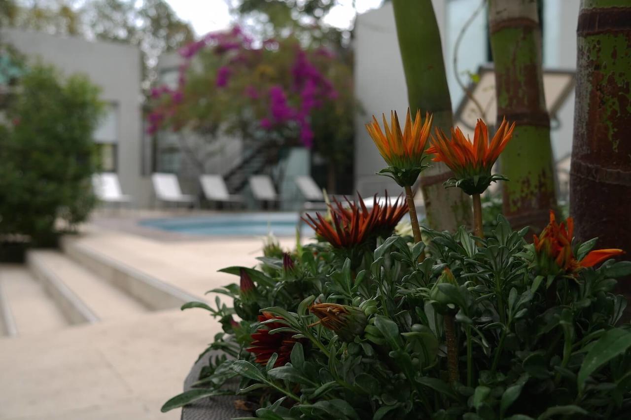 Casa Tepoztlan Bed & Breakfast ภายนอก รูปภาพ